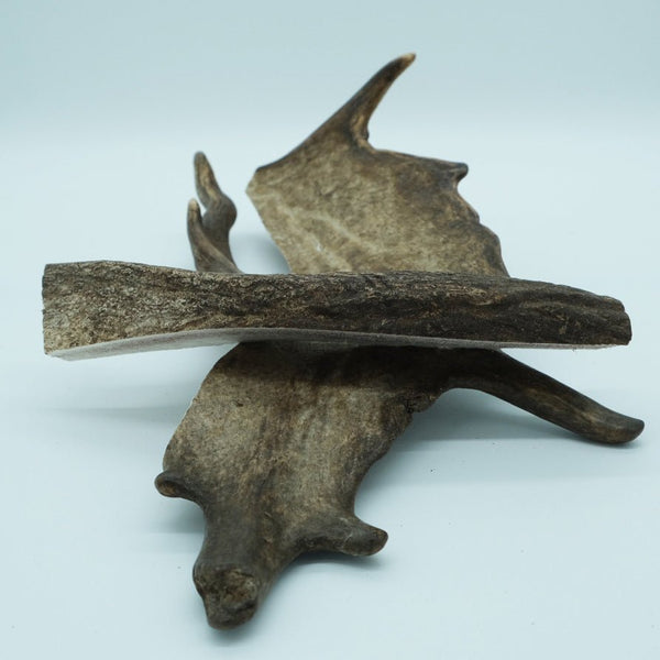 Deer Antler - Droolchef